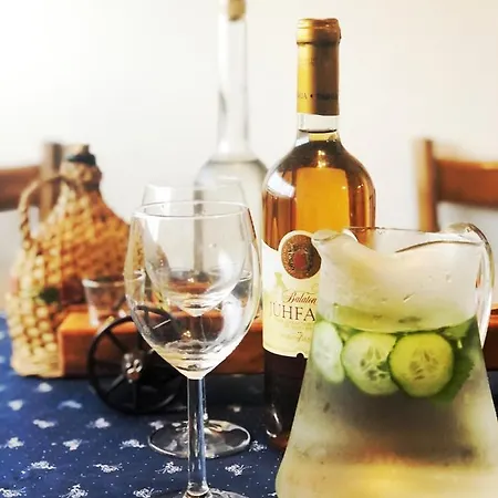 Apartment Balaton Paloznak